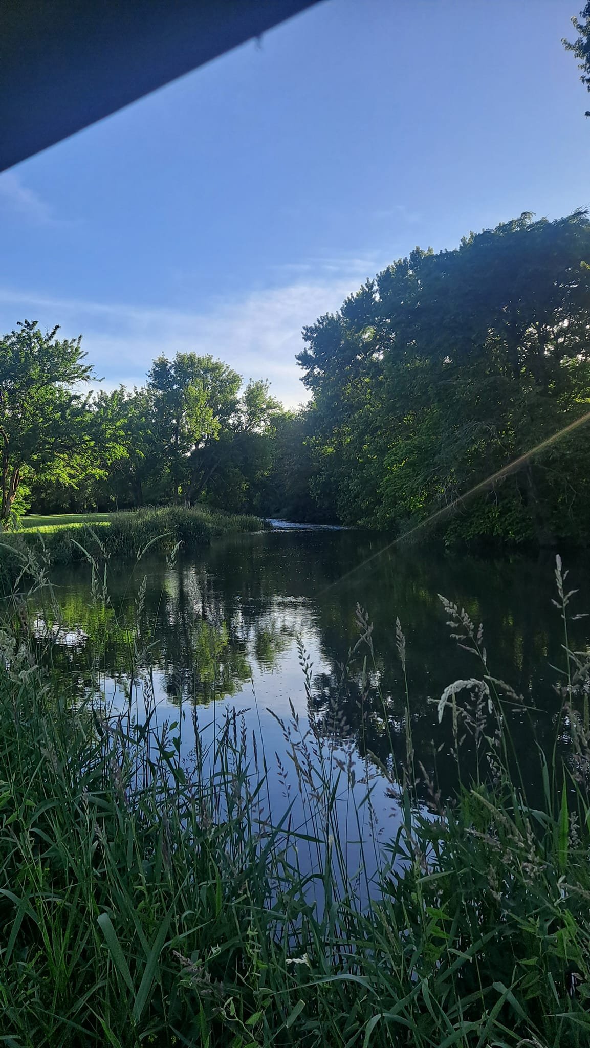 Peaceful creek at Camp Ziegenhorn reflecting trees and blue sky