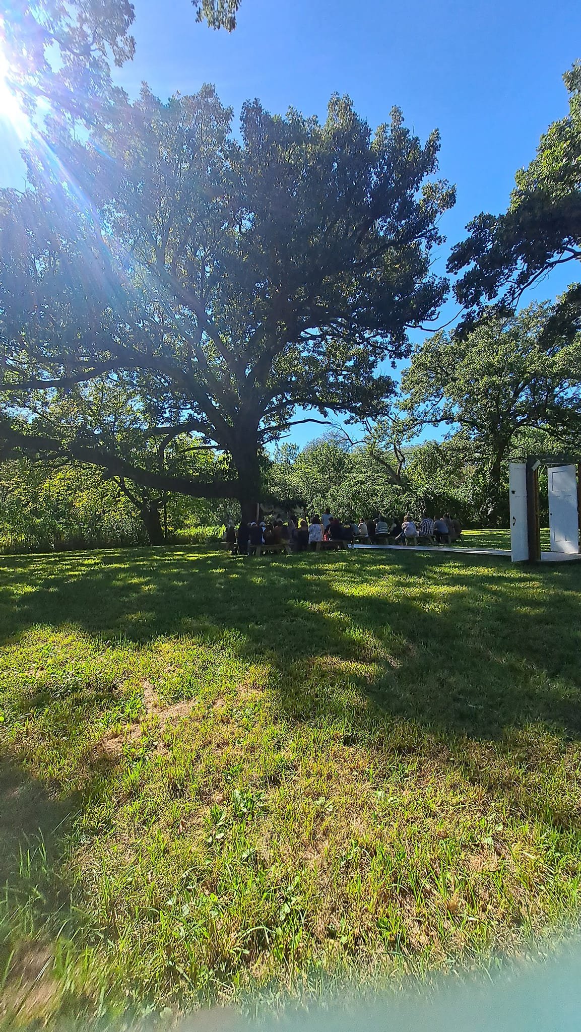 Outdoor gathering of guests under large oak trees at Camp Ziegenhorn