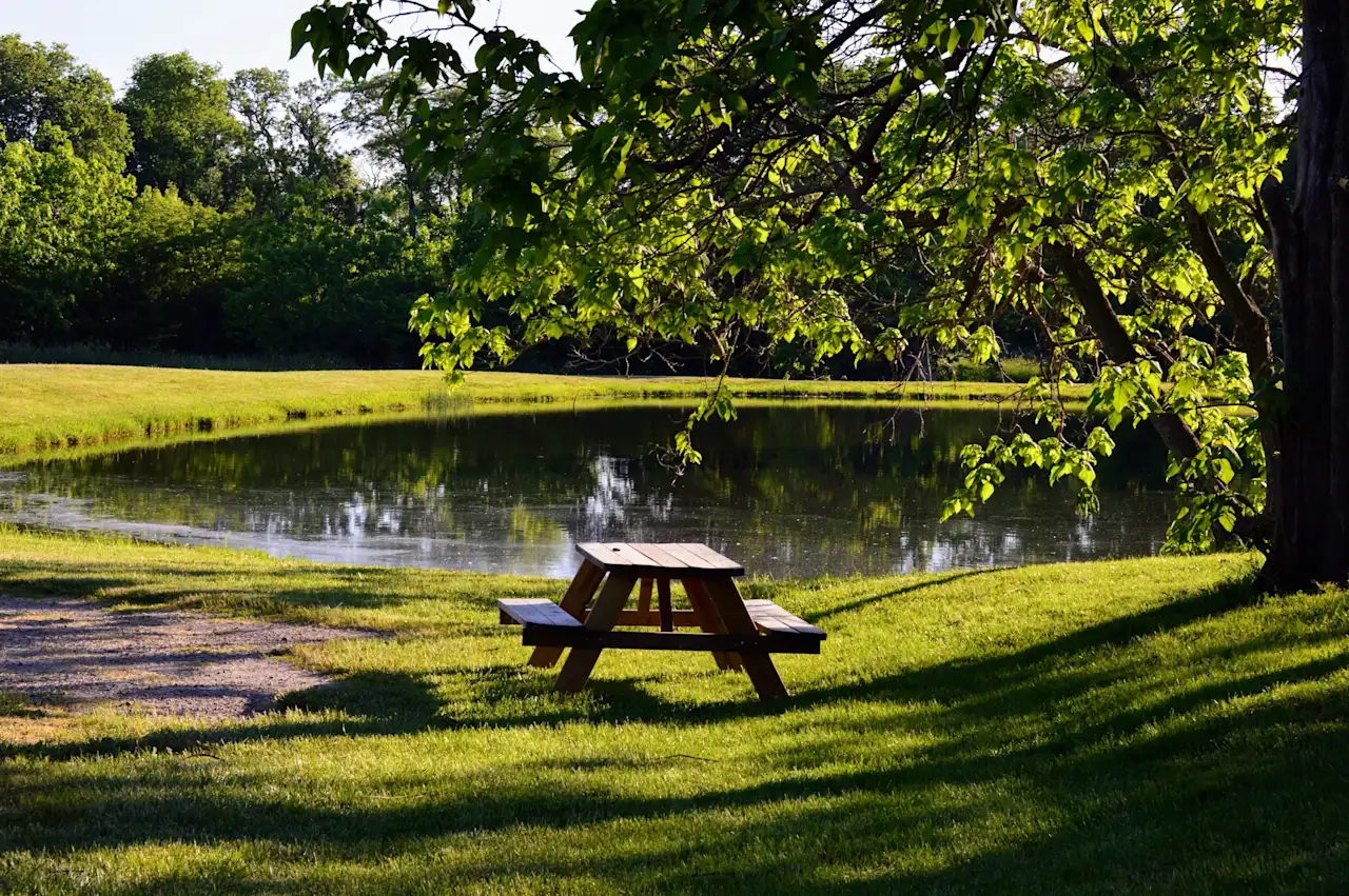 Still water and green banks of the pond at Camp Ziegenhorn