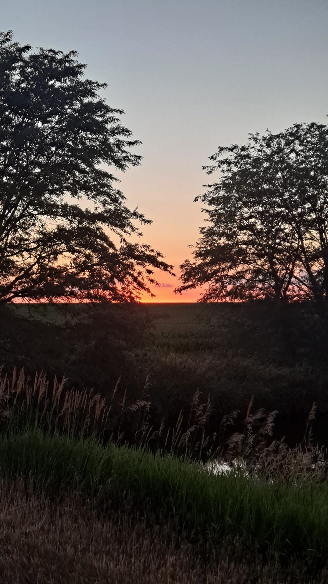 Brilliant orange sunset over the Camp Ziegenhorn property